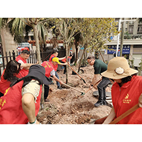 2024年3月29日，香港中山隆鎮同鄉會在南文社區種下首個以香港中山隆鎮同鄉會冠名的「隆鎮之林」。